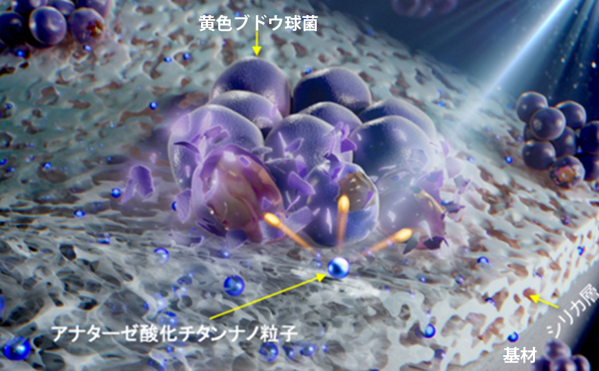 プロダクトイメージ